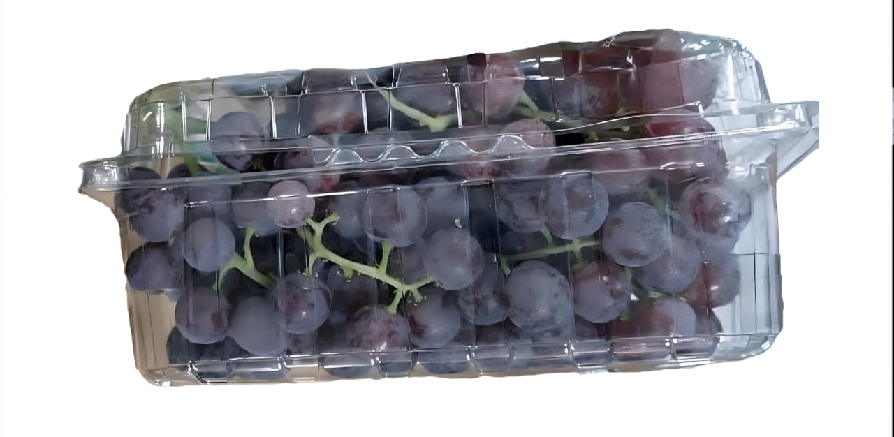Premium Egyptian Grapes